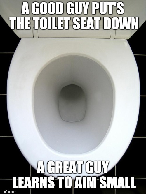 Or a lazy guy | A GOOD GUY PUT'S THE TOILET SEAT DOWN; A GREAT GUY LEARNS TO AIM SMALL | image tagged in toilet,memes,funny | made w/ Imgflip meme maker