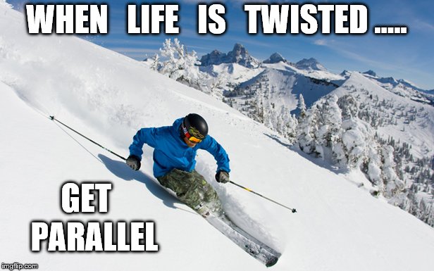 Skier | WHEN   LIFE   IS   TWISTED ..... GET; PARALLEL | image tagged in skier | made w/ Imgflip meme maker