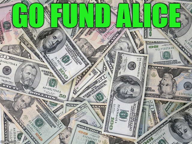 GO FUND ALICE | image tagged in money | made w/ Imgflip meme maker