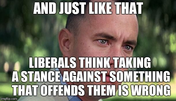 Forest Gump | AND JUST LIKE THAT LIBERALS THINK TAKING A STANCE AGAINST SOMETHING THAT OFFENDS THEM IS WRONG | image tagged in forest gump | made w/ Imgflip meme maker