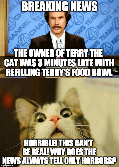 BREAKING NEWS; THE OWNER OF TERRY THE CAT WAS 3 MINUTES LATE WITH REFILLING TERRY'S FOOD BOWL; HORRIBLE! THIS CAN'T BE REAL! WHY DOES THE NEWS ALWAYS TELL ONLY HORRORS? | image tagged in memes,scared cat,breaking news | made w/ Imgflip meme maker