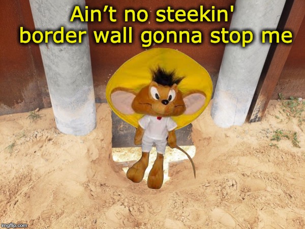 Speedy Gonzales Says... | Ain’t no steekin' border wall gonna stop me | image tagged in mouse,hole,border wall | made w/ Imgflip meme maker