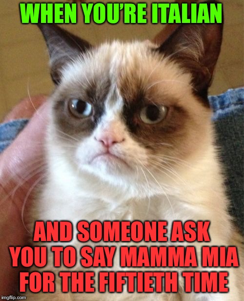 Grumpy Cat | WHEN YOU’RE ITALIAN; AND SOMEONE ASK YOU TO SAY MAMMA MIA FOR THE FIFTIETH TIME | image tagged in memes,grumpy cat | made w/ Imgflip meme maker
