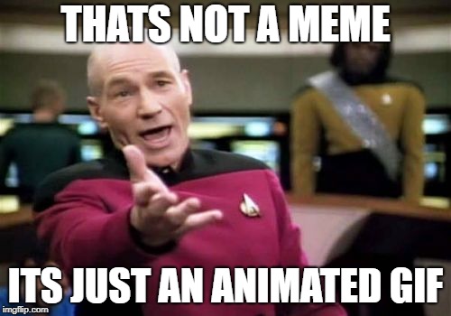 Picard Wtf | THATS NOT A MEME; ITS JUST AN ANIMATED GIF | image tagged in memes,picard wtf | made w/ Imgflip meme maker