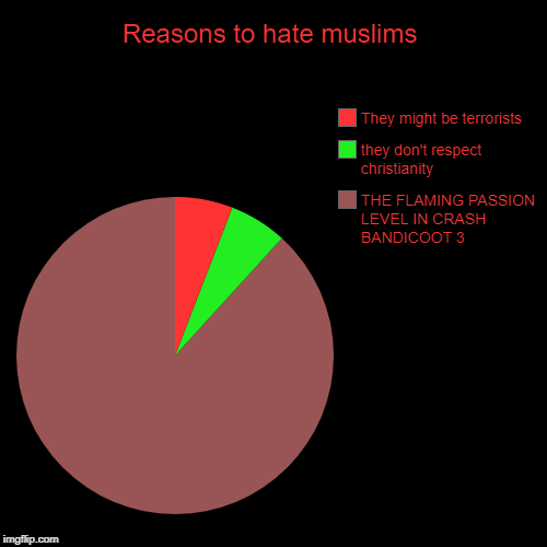 Reasons to hate muslims | THE FLAMING PASSION LEVEL IN CRASH BANDICOOT 3, they don't respect christianity, They might be terrorists | image tagged in funny,pie charts | made w/ Imgflip chart maker