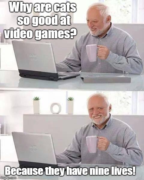 Hide the Pain Harold | Why are cats so good at video games? Because they have nine lives! | image tagged in memes,hide the pain harold | made w/ Imgflip meme maker