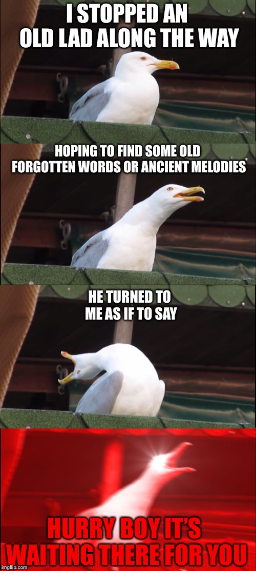 Inhaling Seagull | I STOPPED AN OLD LAD ALONG THE WAY; HOPING TO FIND SOME OLD FORGOTTEN WORDS OR ANCIENT MELODIES; HE TURNED TO ME AS IF TO SAY; HURRY BOY IT’S WAITING THERE FOR YOU | image tagged in memes,inhaling seagull | made w/ Imgflip meme maker
