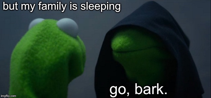 Evil Kermit Meme | but my family is sleeping; go, bark. | image tagged in memes,evil kermit | made w/ Imgflip meme maker