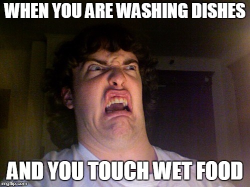 Oh No Meme | WHEN YOU ARE WASHING DISHES; AND YOU TOUCH WET FOOD | image tagged in memes,oh no | made w/ Imgflip meme maker
