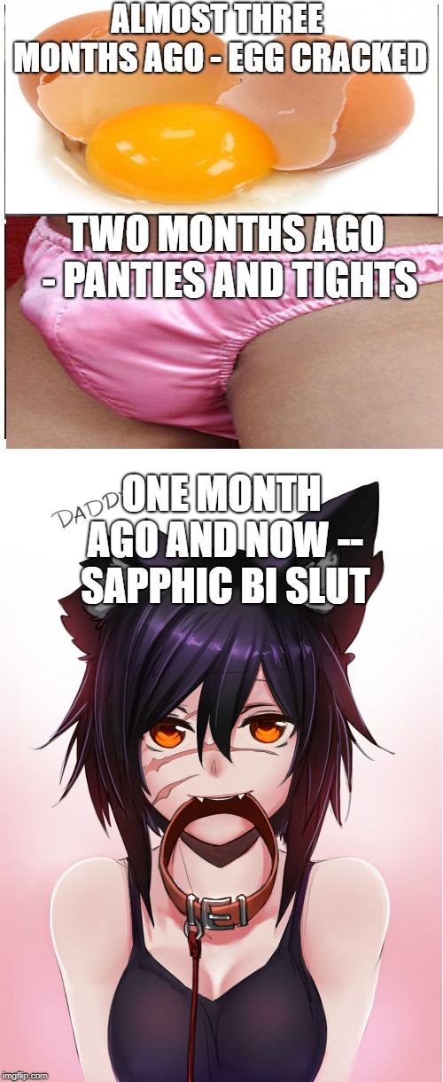 ALMOST THREE MONTHS AGO - EGG CRACKED; TWO MONTHS AGO - PANTIES AND TIGHTS; ONE MONTH AGO AND NOW -- SAPPHIC BI SLUT | image tagged in taken splitscreen,traaNSFW | made w/ Imgflip meme maker
