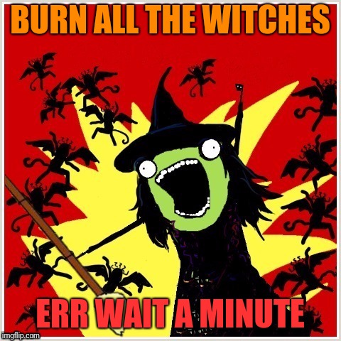 X-All-The-Y-Wicked-Witch-Broom | BURN ALL THE WITCHES ERR WAIT A MINUTE | image tagged in x-all-the-y-wicked-witch-broom | made w/ Imgflip meme maker