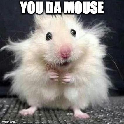 Stressed Mouse | YOU DA MOUSE | image tagged in stressed mouse | made w/ Imgflip meme maker