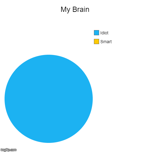 My Brain | Smart, Idiot | image tagged in funny,pie charts | made w/ Imgflip chart maker