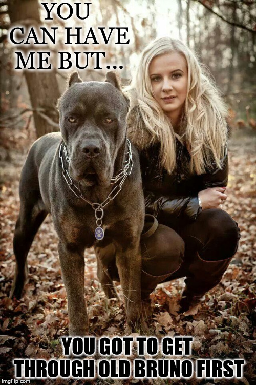 Move Along.... | YOU CAN HAVE ME BUT... YOU GOT TO GET THROUGH OLD BRUNO FIRST | image tagged in beautiful woman,guard dog,pinch collar,bruno,dog | made w/ Imgflip meme maker