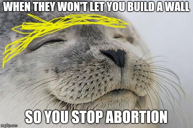 Satisfied Seal | WHEN THEY WON'T LET YOU BUILD A WALL; SO YOU STOP ABORTION | image tagged in memes,satisfied seal | made w/ Imgflip meme maker