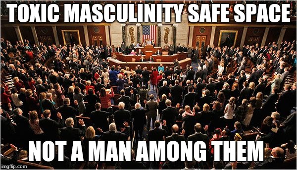 Toxic Masculinity safe space | TOXIC MASCULINITY SAFE SPACE; NOT A MAN AMONG THEM | image tagged in congress | made w/ Imgflip meme maker