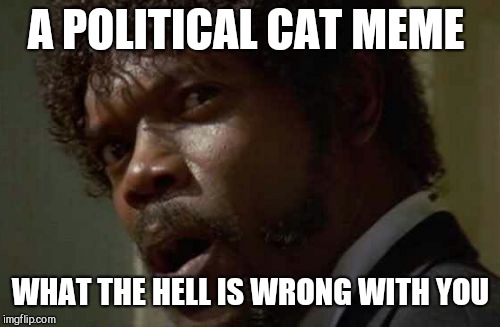 Samuel Jackson Glance Meme | A POLITICAL CAT MEME WHAT THE HELL IS WRONG WITH YOU | image tagged in memes,samuel jackson glance | made w/ Imgflip meme maker