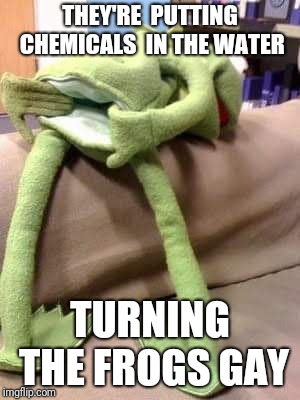 Gay kermit | THEY'RE  PUTTING CHEMICALS  IN THE WATER; TURNING THE FROGS GAY | image tagged in alex jones,gay frogs,chemicals in the water,kermit the frog | made w/ Imgflip meme maker