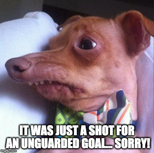 Tuna the dog (Phteven) | IT WAS JUST A SHOT FOR AN UNGUARDED GOAL... SORRY! | image tagged in tuna the dog phteven | made w/ Imgflip meme maker