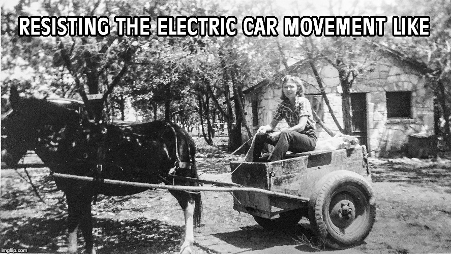 image tagged in horse,tesla,electric car | made w/ Imgflip meme maker