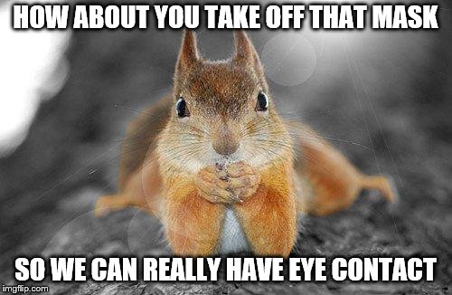 Squirrel therapist | HOW ABOUT YOU TAKE OFF THAT MASK SO WE CAN REALLY HAVE EYE CONTACT | image tagged in squirrel therapist | made w/ Imgflip meme maker