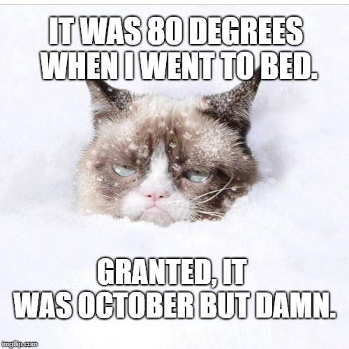 Rip Van Kitty | IT WAS 80 DEGREES WHEN I WENT TO BED. GRANTED, IT WAS OCTOBER BUT DAMN. | image tagged in grumpy cat snow | made w/ Imgflip meme maker