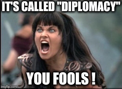 Screaming Woman | IT'S CALLED "DIPLOMACY" YOU FOOLS ! | image tagged in screaming woman | made w/ Imgflip meme maker