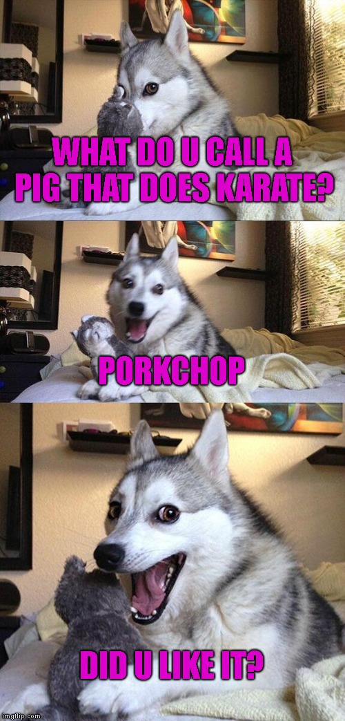 What Do U Get From The Cow? Homework-That's A Good Pun! | WHAT DO U CALL A PIG THAT DOES KARATE? PORKCHOP; DID U LIKE IT? | image tagged in memes,bad pun dog | made w/ Imgflip meme maker