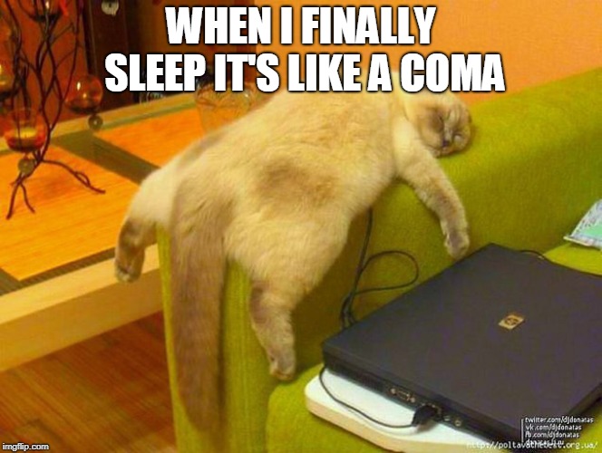 sleeping cat | WHEN I FINALLY SLEEP IT'S LIKE A COMA | image tagged in sleeping cat | made w/ Imgflip meme maker