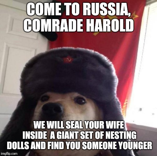 Russian Doge | COME TO RUSSIA, COMRADE HAROLD WE WILL SEAL YOUR WIFE INSIDE  A GIANT SET OF NESTING DOLLS AND FIND YOU SOMEONE YOUNGER | image tagged in russian doge | made w/ Imgflip meme maker