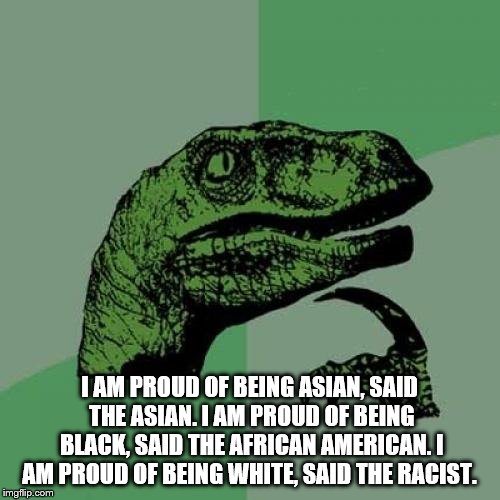 Philosoraptor | I AM PROUD OF BEING ASIAN, SAID THE ASIAN.
I AM PROUD OF BEING BLACK, SAID THE AFRICAN AMERICAN.
I AM PROUD OF BEING WHITE, SAID THE RACIST. | image tagged in memes,philosoraptor | made w/ Imgflip meme maker