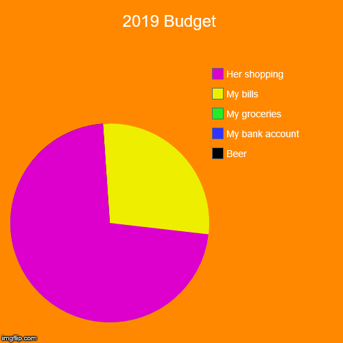 2019 Budget | Beer, My bank account, My groceries, My bills, Her shopping | image tagged in funny,pie charts | made w/ Imgflip chart maker