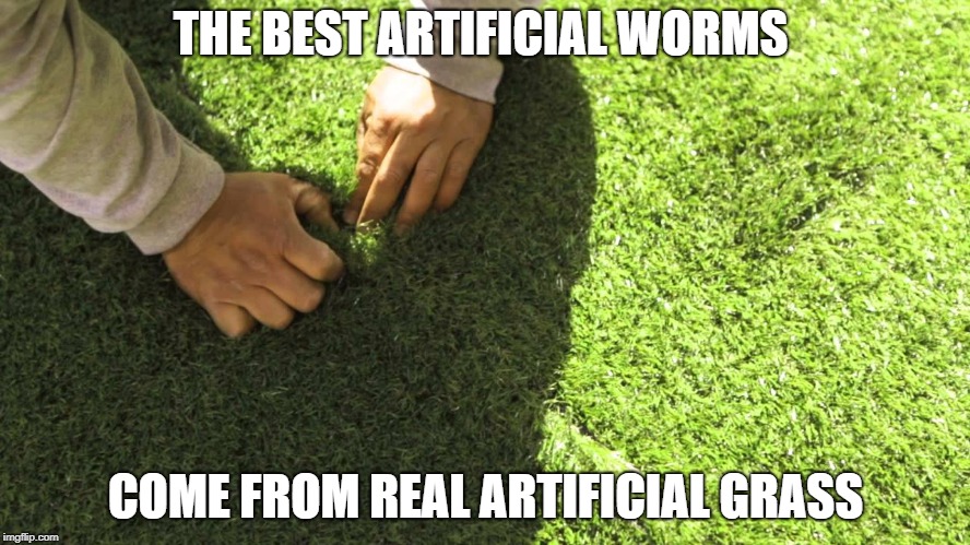 THE BEST ARTIFICIAL WORMS; COME FROM REAL ARTIFICIAL GRASS | made w/ Imgflip meme maker