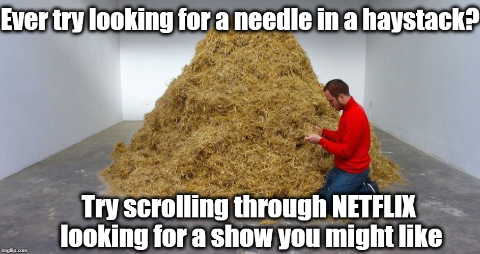 Literally HUNDREDS of shows, yet nothing appealing | Ever try looking for a needle in a haystack? Try scrolling through NETFLIX looking for a show you might like | image tagged in netflix,frustrating | made w/ Imgflip meme maker