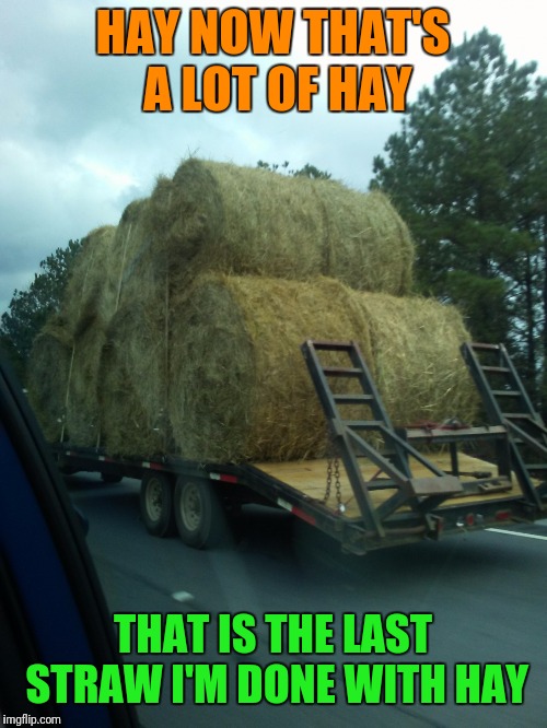 HAY NOW THAT'S A LOT OF HAY; THAT IS THE LAST STRAW I'M DONE WITH HAY | image tagged in hay | made w/ Imgflip meme maker