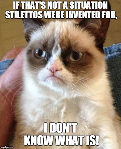Grumpy Cat Meme | IF THAT'S NOT A SITUATION STILETTOS WERE INVENTED FOR, I DON'T KNOW WHAT IS! | image tagged in memes,grumpy cat | made w/ Imgflip meme maker