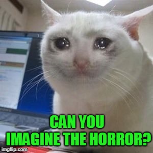 Sad cat tears | CAN YOU IMAGINE THE HORROR? | image tagged in sad cat tears | made w/ Imgflip meme maker