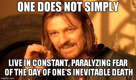 One Does Not Simply | ONE DOES NOT SIMPLY; LIVE IN CONSTANT, PARALYZING FEAR OF THE DAY OF ONE'S INEVITABLE DEATH | image tagged in memes,one does not simply | made w/ Imgflip meme maker