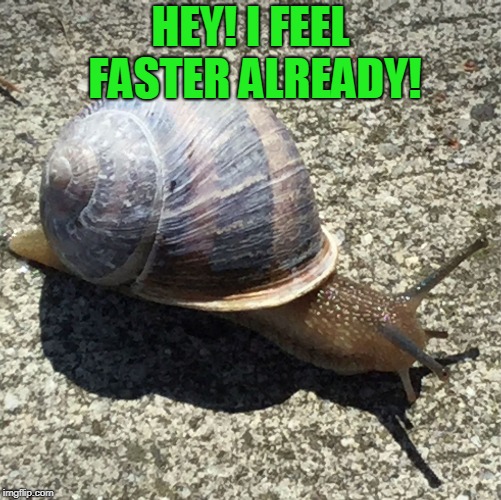 Slow as a snail... | HEY! I FEEL FASTER ALREADY! | image tagged in slow as a snail | made w/ Imgflip meme maker