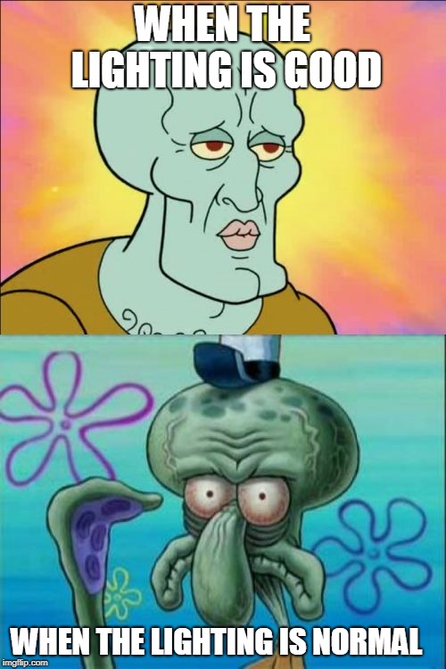 Squidward Meme | WHEN THE LIGHTING IS GOOD WHEN THE LIGHTING IS NORMAL | image tagged in memes,squidward | made w/ Imgflip meme maker