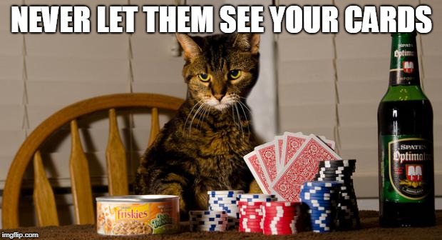 Poker Cat | NEVER LET THEM SEE YOUR CARDS | image tagged in poker cat | made w/ Imgflip meme maker