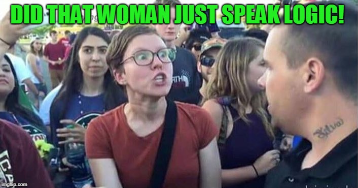 Did you just assume my gender | DID THAT WOMAN JUST SPEAK LOGIC! | image tagged in did you just assume my gender | made w/ Imgflip meme maker