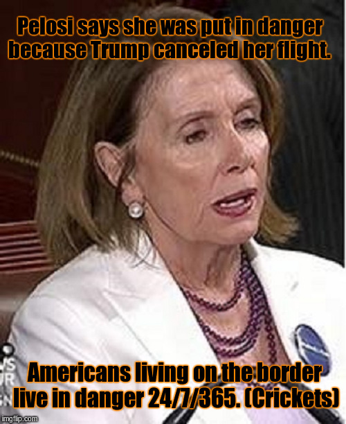 Nancy Pelosi | Pelosi says she was put in danger because Trump canceled her flight. Americans living on the border live in danger 24/7/365. (Crickets) | image tagged in nancy pelosi | made w/ Imgflip meme maker