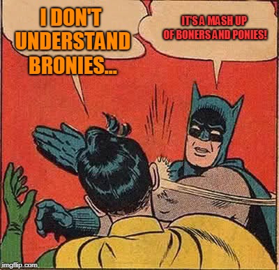 Batman Slapping Robin Meme | I DON'T UNDERSTAND BRONIES... IT'S A MASH UP OF BONERS AND PONIES! | image tagged in memes,batman slapping robin | made w/ Imgflip meme maker