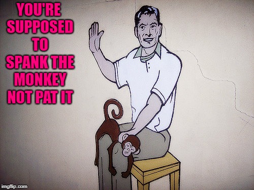 YOU'RE SUPPOSED TO SPANK THE MONKEY NOT PAT IT | made w/ Imgflip meme maker
