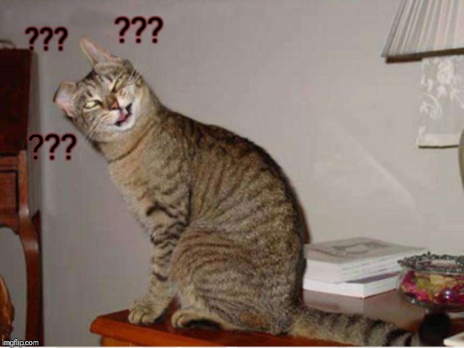Huh? Cat | ??? ??? ??? | image tagged in memes,cats,huh cat,44colt | made w/ Imgflip meme maker
