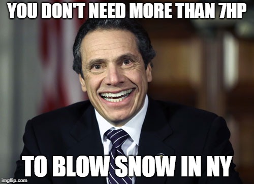 Andrew Cuomo | YOU DON'T NEED MORE THAN 7HP; TO BLOW SNOW IN NY | image tagged in andrew cuomo | made w/ Imgflip meme maker