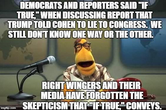 Muppet Reporter | DEMOCRATS AND REPORTERS SAID "IF TRUE," WHEN DISCUSSING REPORT THAT TRUMP TOLD COHEN TO LIE TO CONGRESS.  WE STILL DON'T KNOW ONE WAY OR THE OTHER. RIGHT WINGERS AND THEIR MEDIA HAVE FORGOTTEN THE SKEPTICISM THAT "IF TRUE," CONVEYS. | image tagged in muppet reporter | made w/ Imgflip meme maker