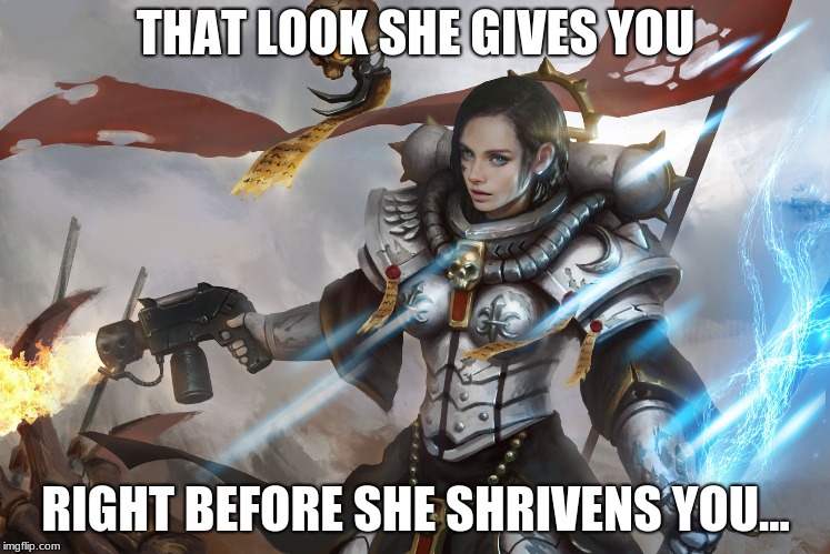 Sister Shrivener  | THAT LOOK SHE GIVES YOU; RIGHT BEFORE SHE SHRIVENS YOU... | image tagged in warhammer 40k,sisters of battle,adeptus sororitas,destroyer | made w/ Imgflip meme maker