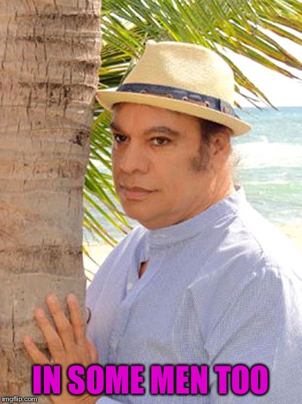 Juan Gabriel Gay | IN SOME MEN TOO | image tagged in juan gabriel gay | made w/ Imgflip meme maker